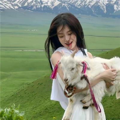 叮咚圣诞情