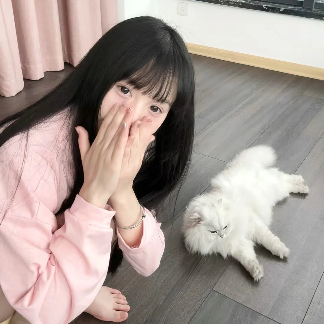 小姐与流浪汉